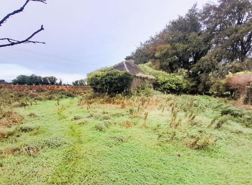 Toorfin Shroid, Longford Town
