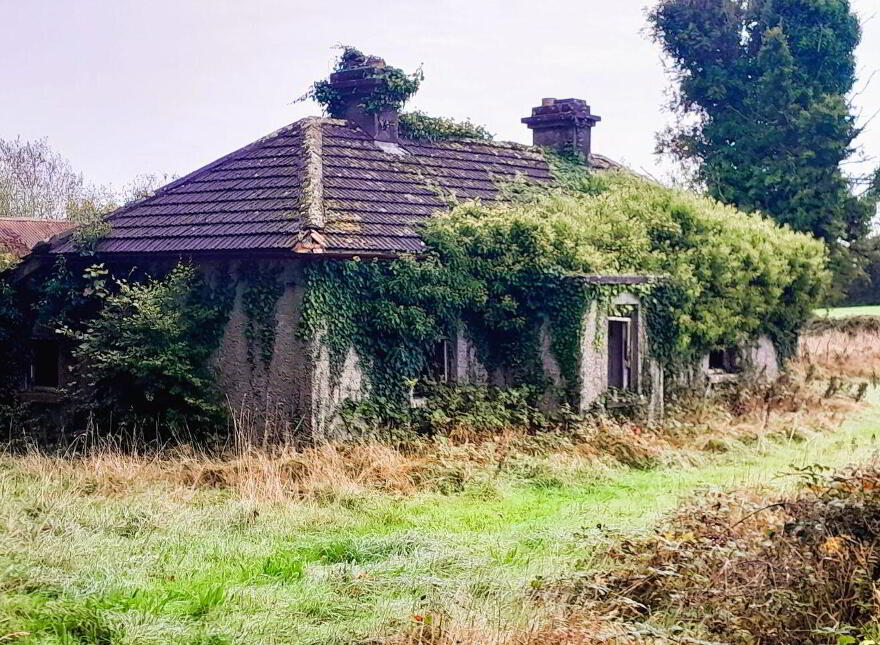Toorfin Shroid, Longford Town photo