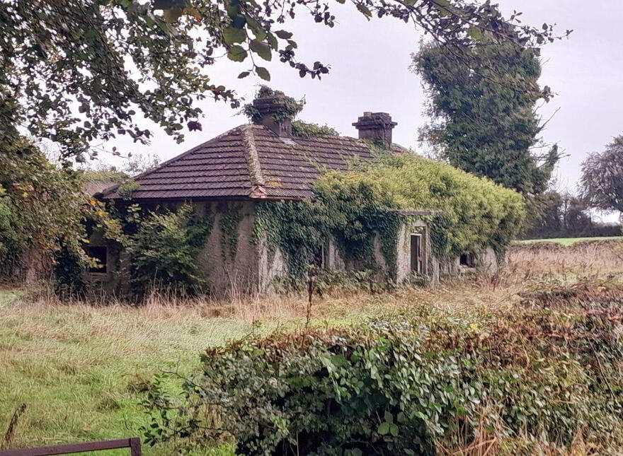 Toorfin Shroid, Longford Town