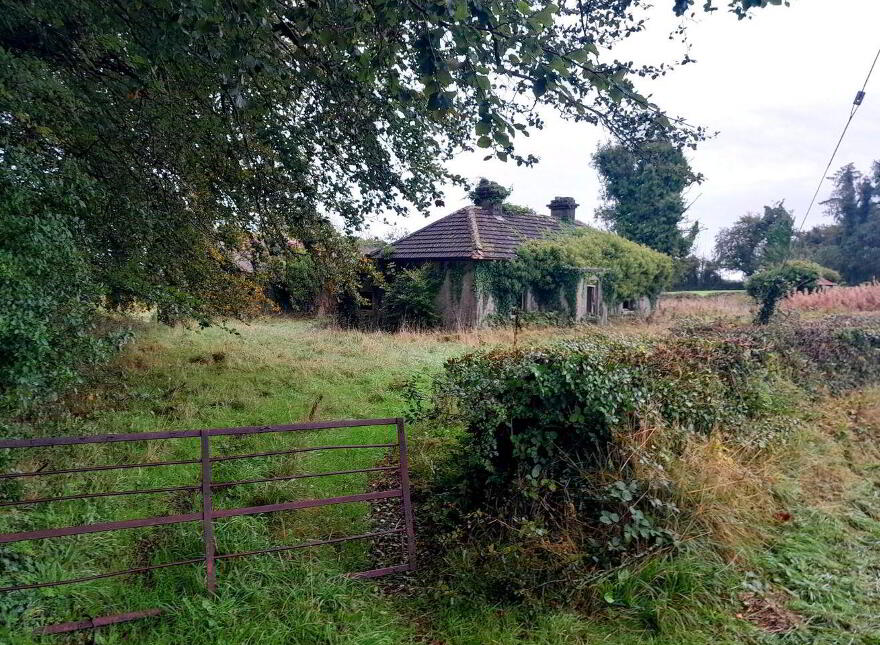 Toorfin Shroid, Longford Town