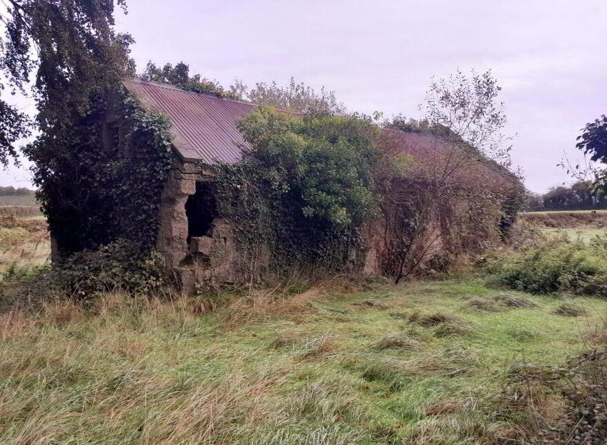Toorfin Shroid, Longford Town