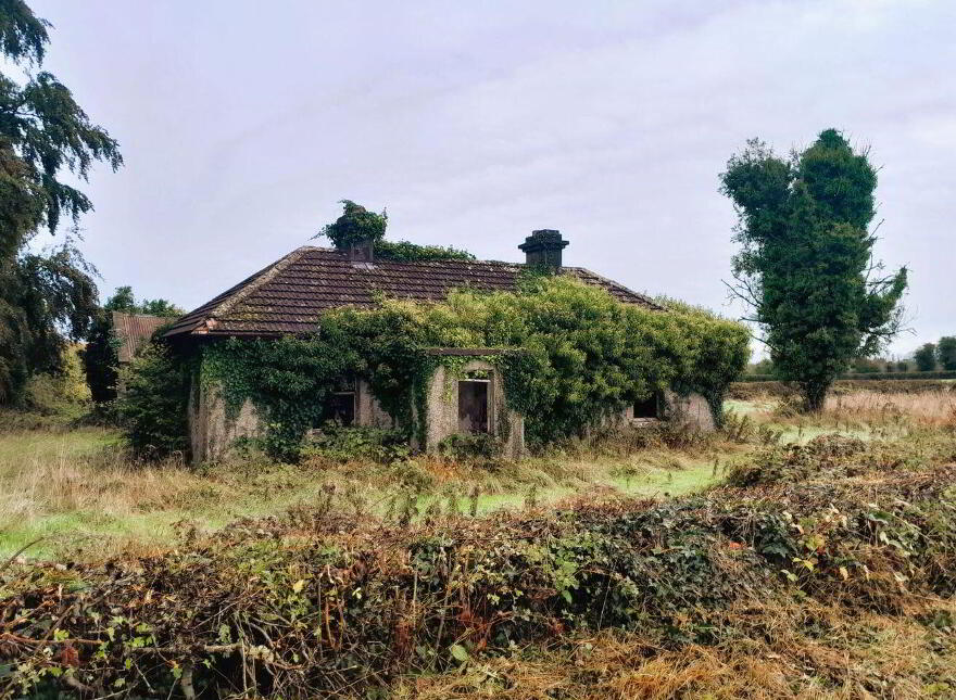 Toorfin Shroid, Longford Town