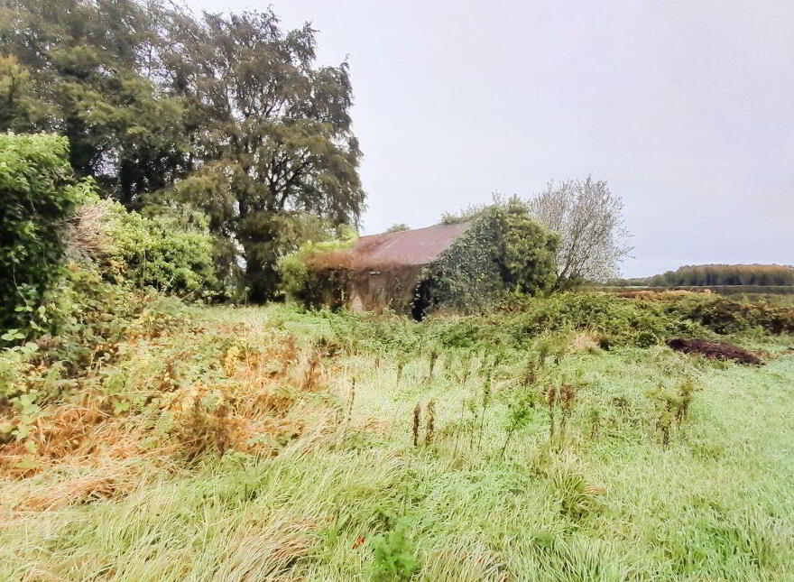 Toorfin Shroid, Longford Town