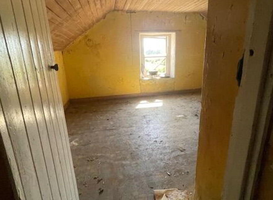 Ballindrumlea, Castlerea, F45PW26