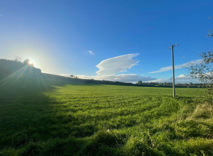 Rylanes, Ballingarry, V94X6K8