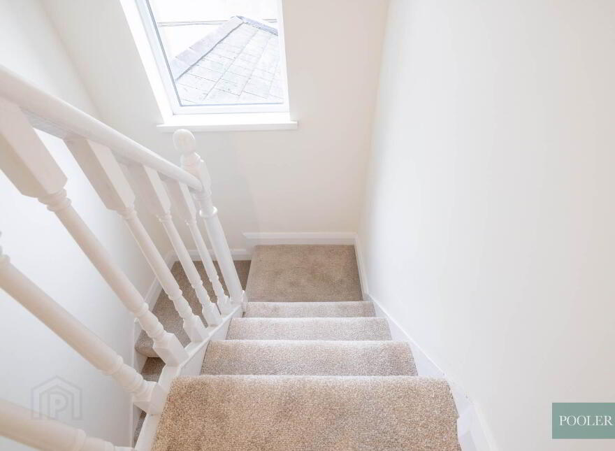 16 Dromore Street, Cregagh Road, Belfast, BT6 8PF