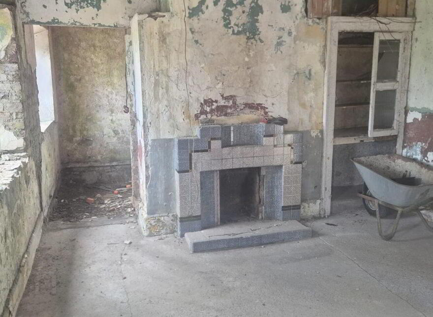 Derelict Cottage, Barnhill, Graiguecullen, R93H7V0