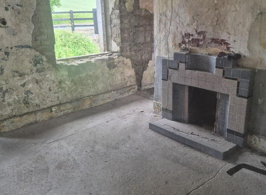 Derelict Cottage, Barnhill, Graiguecullen, R93H7V0