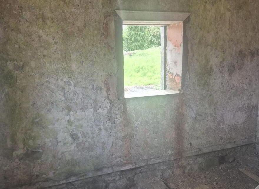 Derelict Cottage, Barnhill, Graiguecullen, R93H7V0