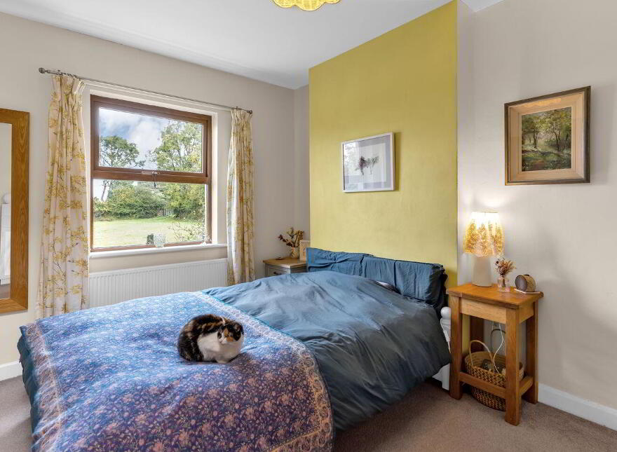 Monatore, Baltinglass, W91T9H0