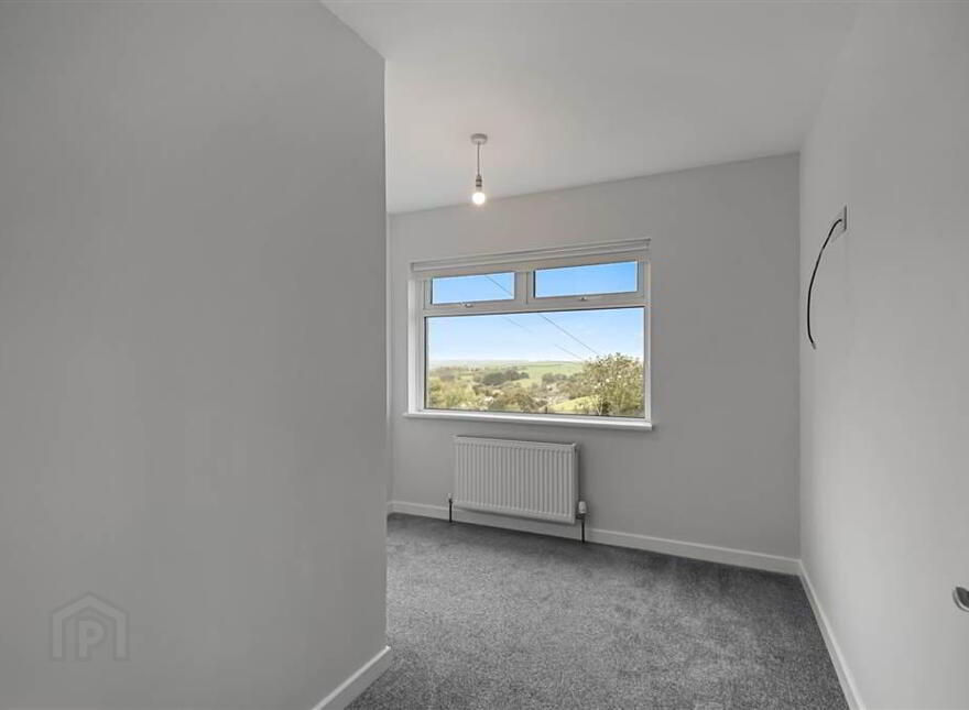 2 Clintons Park, Downpatrick, BT30 6NS
