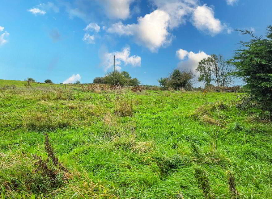 Kinaffe, Kiltimagh, F12PX67