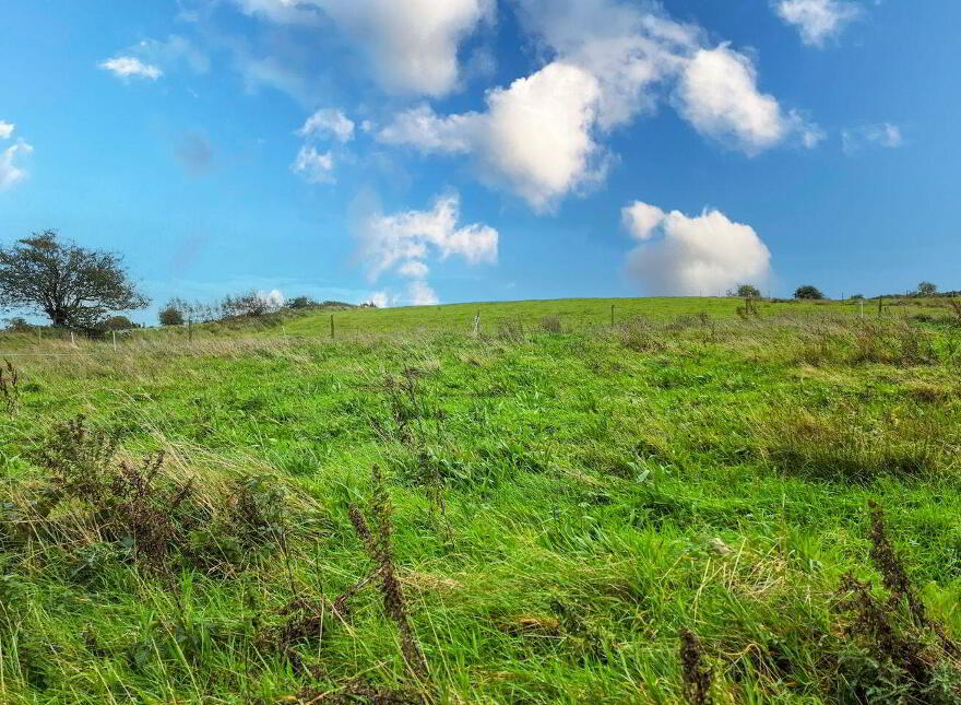Kinaffe, Kiltimagh, F12PX67