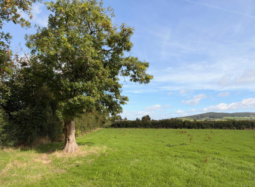 Circa 0.5 Acres At, Garrancasey, Newcastle