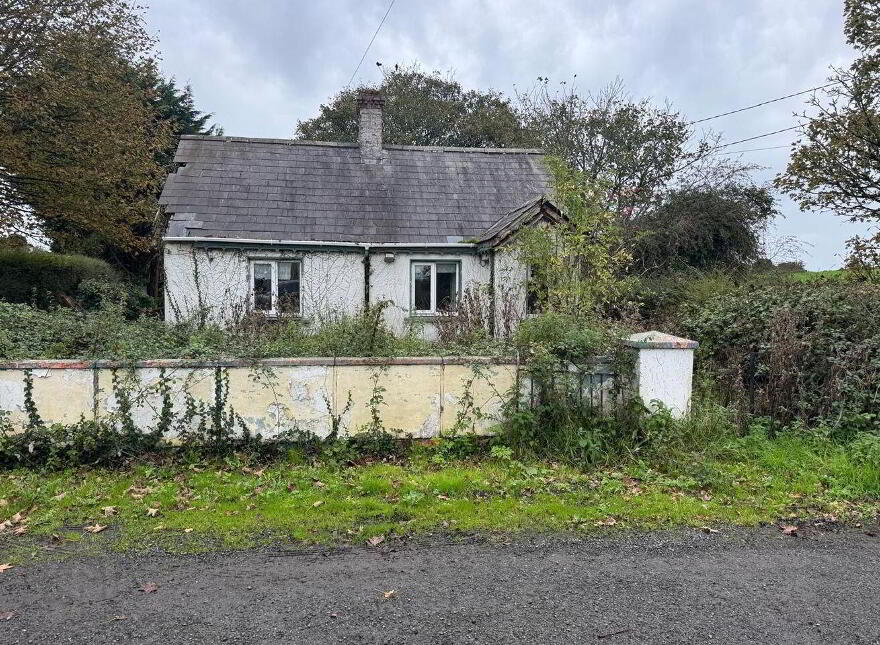 Fanstown, Kilmallock, V35XD73