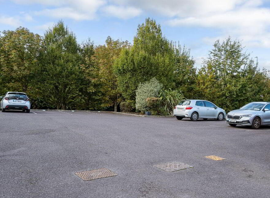 3 Sirius Heights, Church Hill, Passage West, T12PYW0