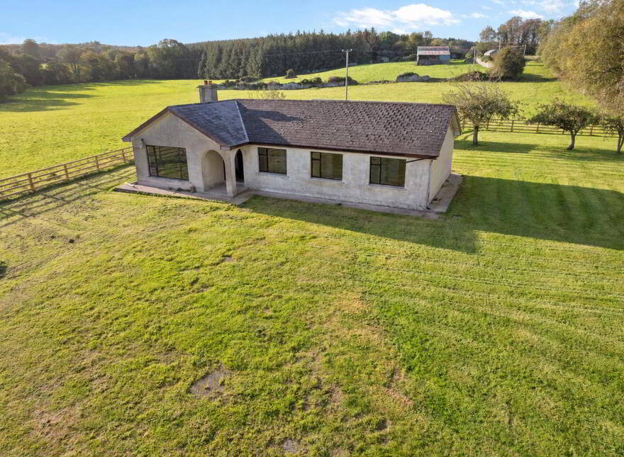 Annakisha, Doneraile, P51AX62 photo
