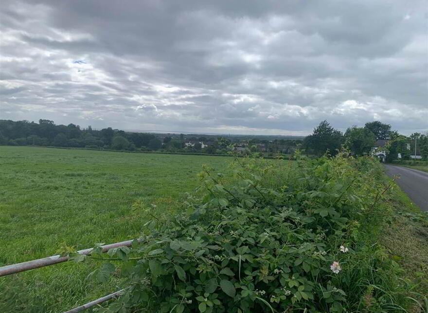 Approximately 39 Acres, Of Agricultural Lands, Niblock Road/ Steeple Ro...Antrim, BT41 photo