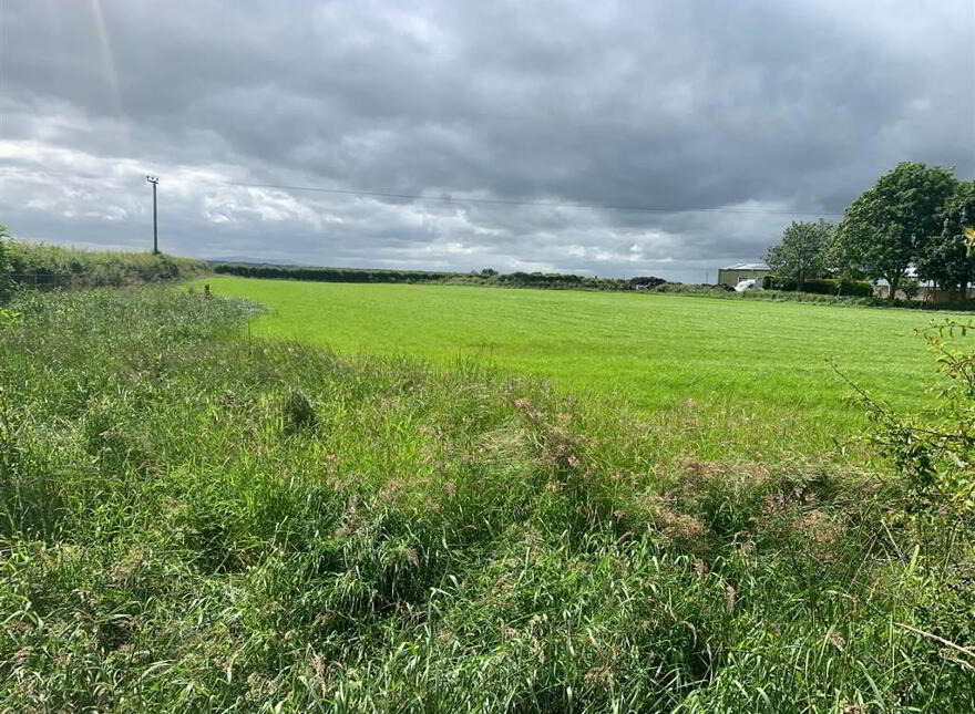 Approximately 39 Acres, Of Agricultural Lands, Niblock Road/ Steeple Ro...Antrim, BT41