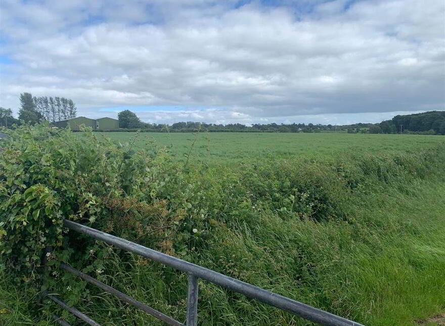Approximately 39 Acres, Of Agricultural Lands, Niblock Road/ Steeple Ro...Antrim, BT41