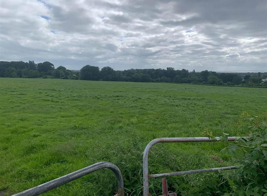 Approximately 39 Acres, Of Agricultural Lands, Niblock Road/ Steeple Ro...Antrim, BT41
