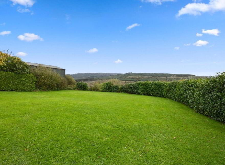 Forest View, Fanit, Newport, V94E4FA