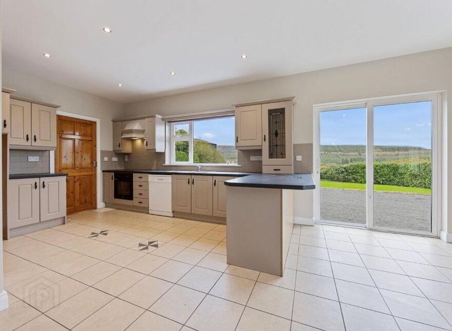Forest View, Fanit, Newport, V94E4FA