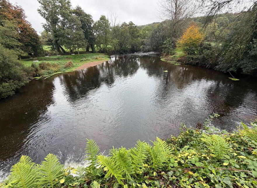Aghern West, Conna, Castlelyons, P51F6V3