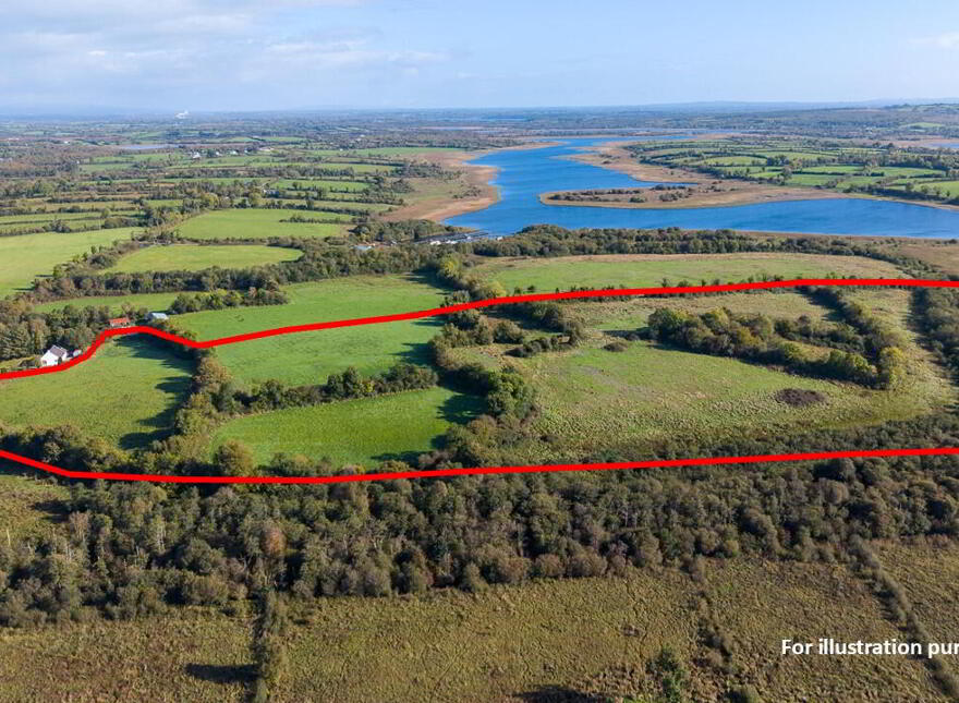 Mosshill, Strokestown, F42R528