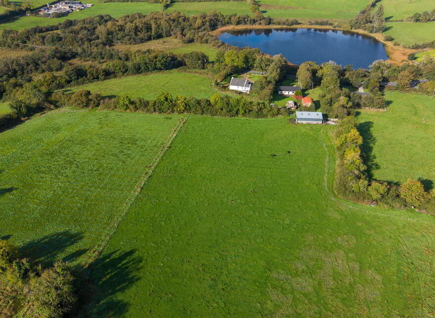 Mosshill, Strokestown, F42R528