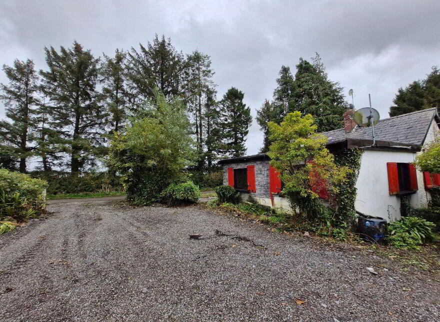 Slate Art, Kilpatrick, Rathconrath, N91C443