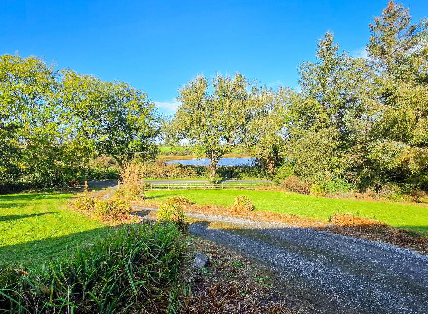 Mosshill, Strokestown, F42R528