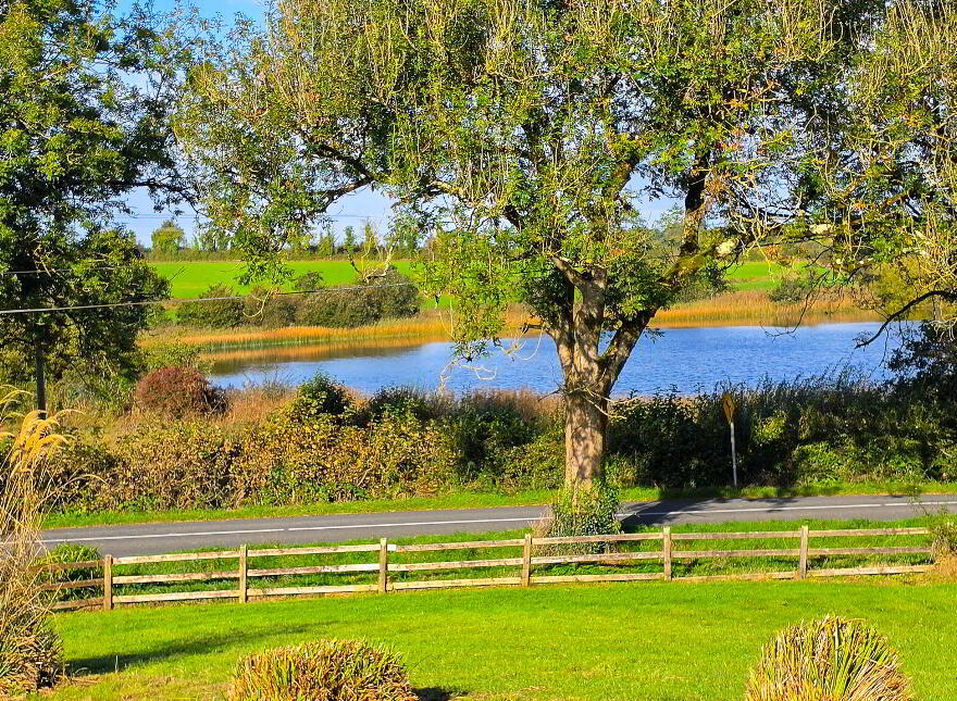 Mosshill, Strokestown, F42R528