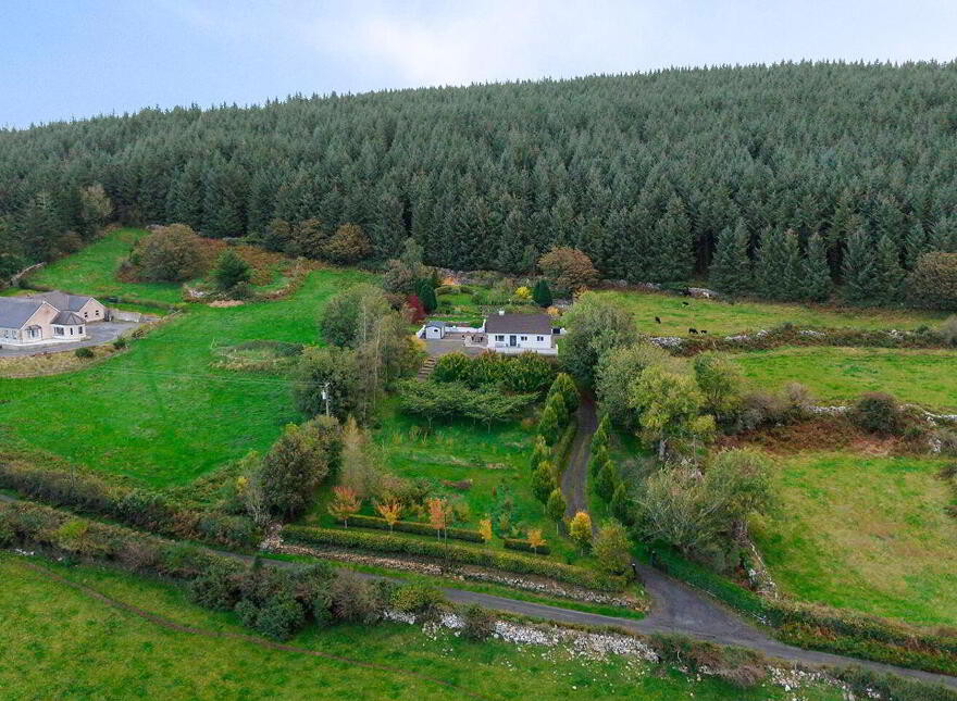 Ballybrack, Borris, Ballymurphy, R95HW83