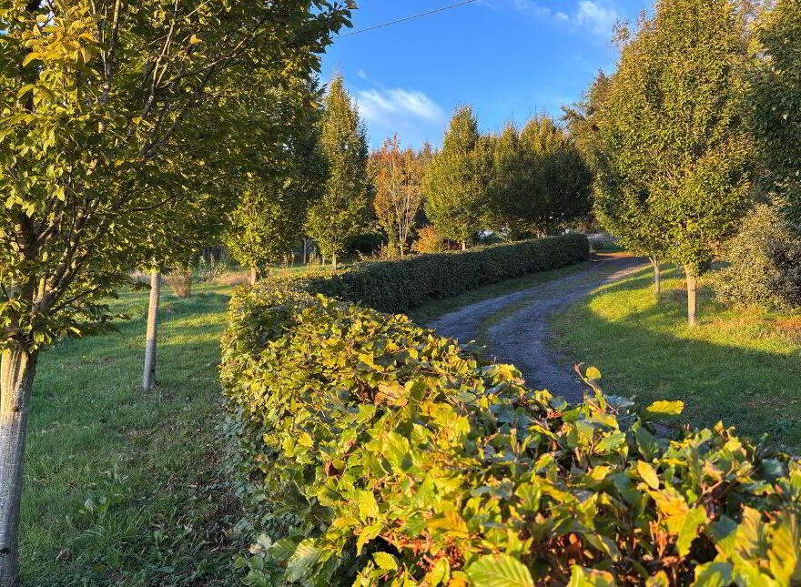 Ballybrack, Borris, Ballymurphy, R95HW83