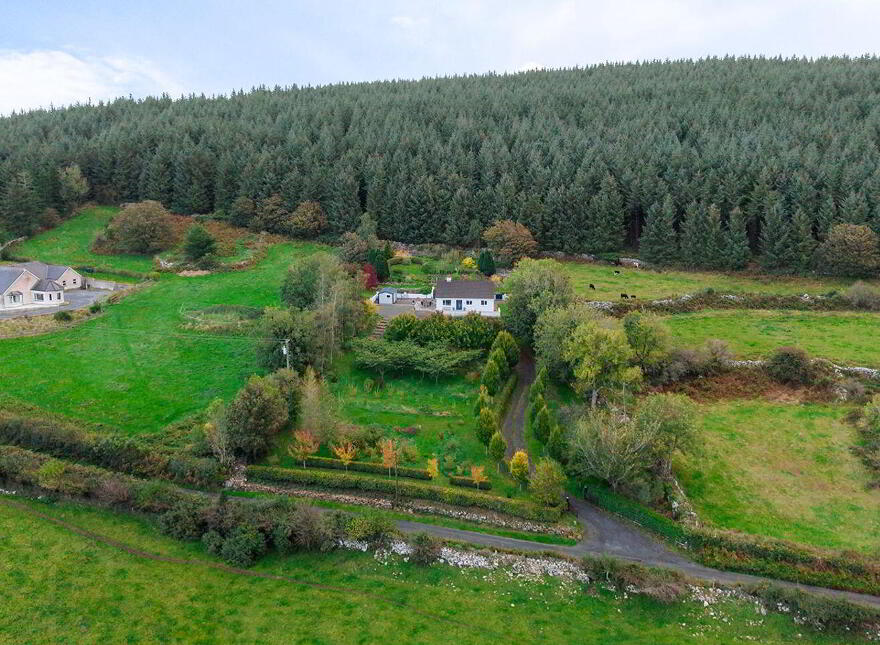 Ballybrack, Borris, Ballymurphy, R95HW83