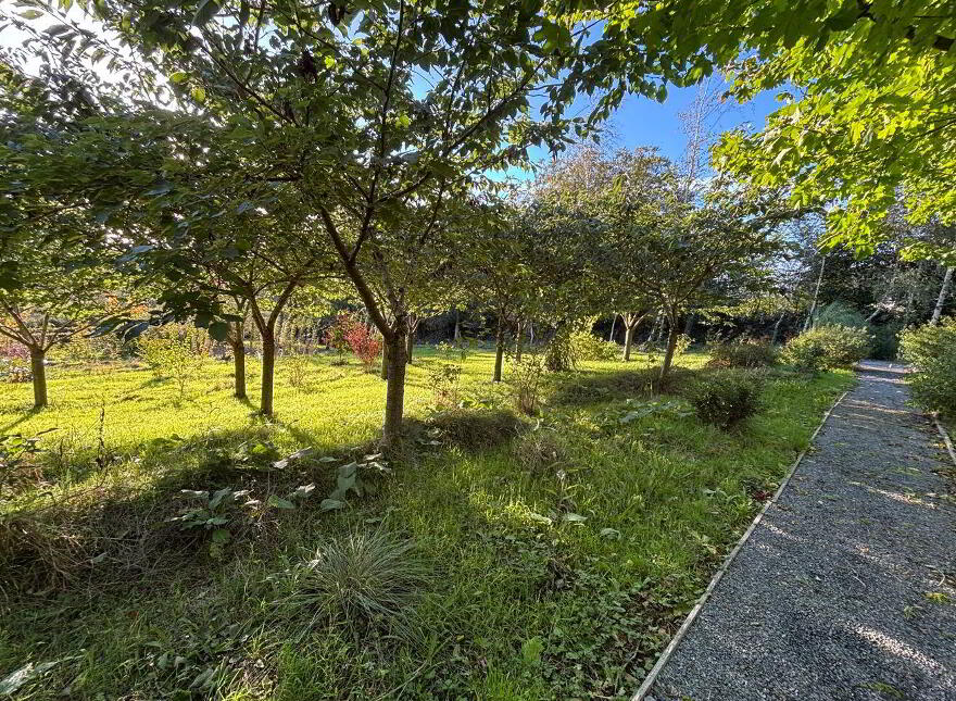 Ballybrack, Borris, Ballymurphy, R95HW83