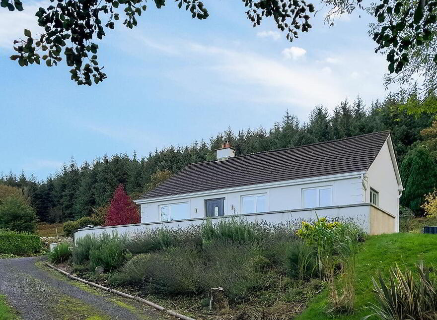 Ballybrack, Borris, Ballymurphy, R95HW83