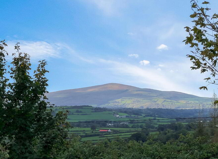 Ballybrack, Borris, Ballymurphy, R95HW83
