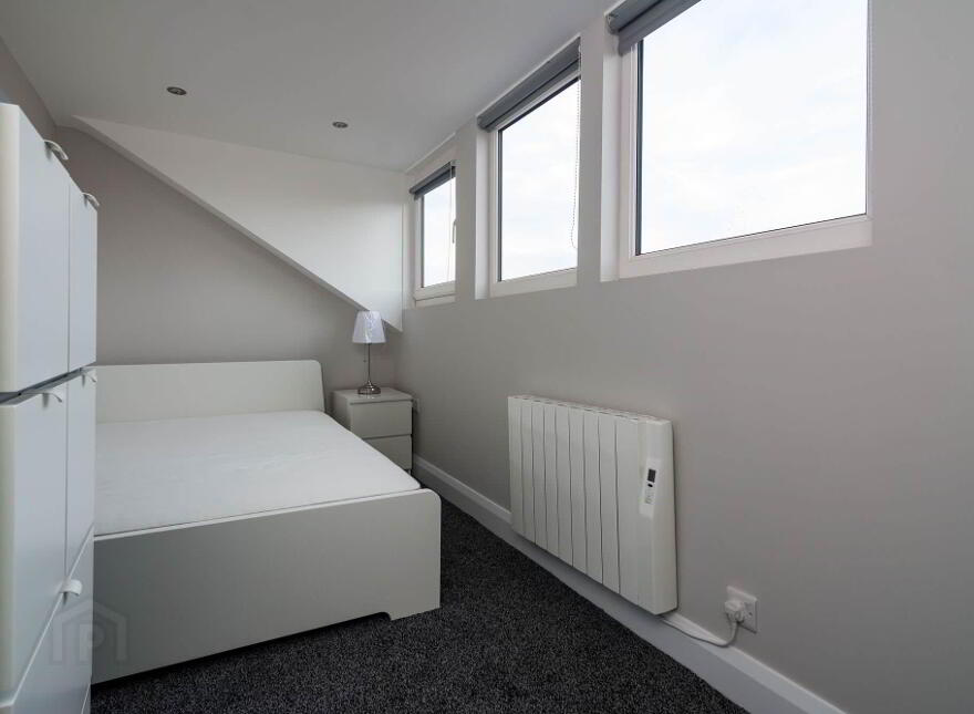 Apt 3, 10 Lower Crescent, Belfast, BT7 1NR