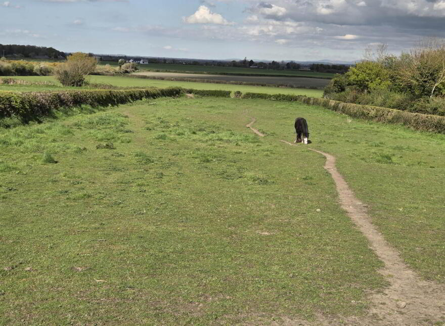 Southfield, Ballintubbert, R14VH96