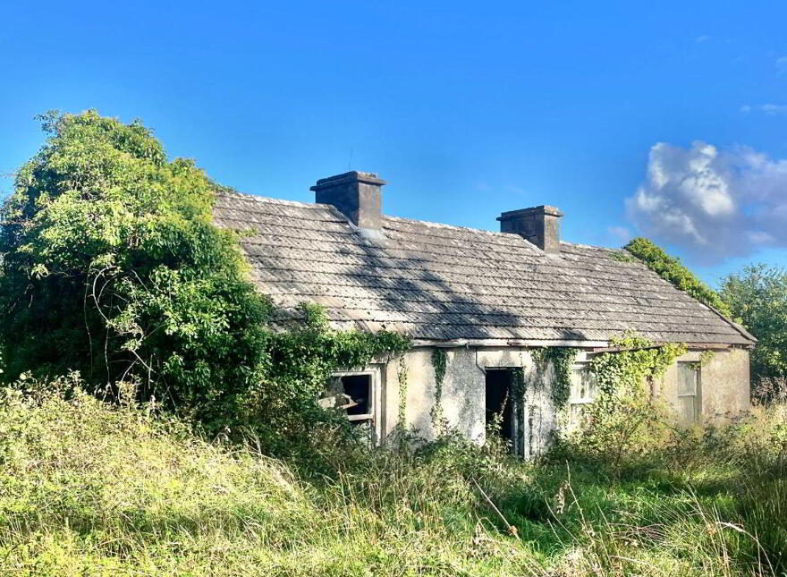 Rathgeean, Tirerril, Ballintogher photo