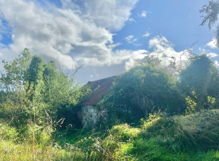 Rathgeean, Tirerril, Ballintogher