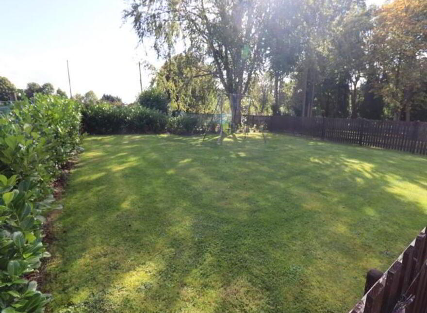 Alderwood, Crover, Mountnugent, A82E291