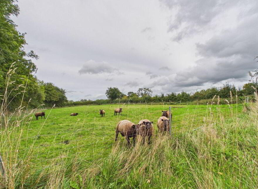 Moyvale, Ballickmoyler Road, Carlow Town