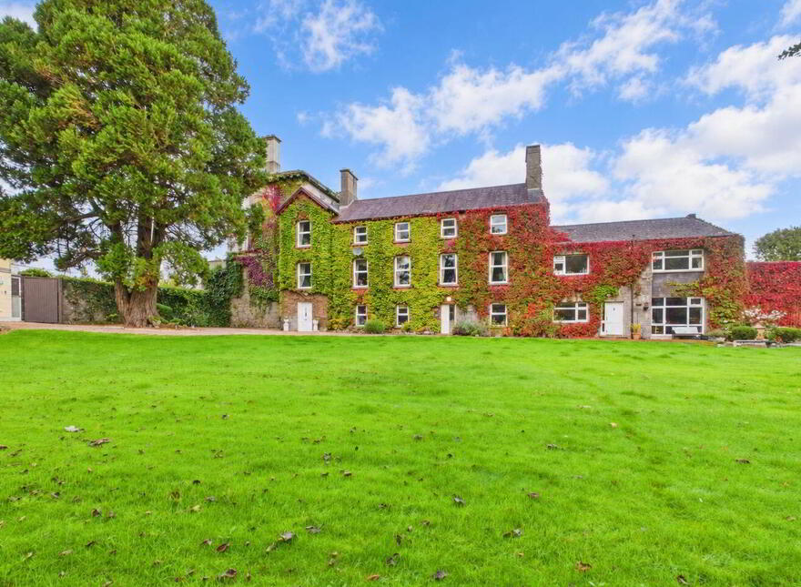 Rus In Urbe, Bridge Street, Ballinasloe, H53X0P8