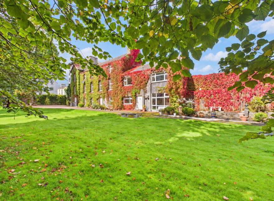 Rus In Urbe, Bridge Street, Ballinasloe, H53X0P8
