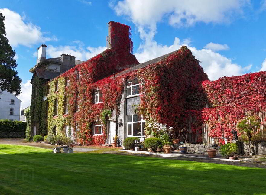 Rus In Urbe, Bridge Street, Ballinasloe, H53X0P8