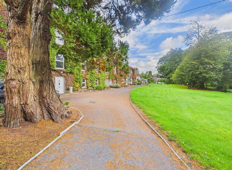 Rus In Urbe, Bridge Street, Ballinasloe, H53X0P8