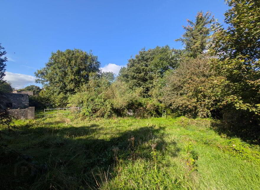 Scardaun, Scardaun